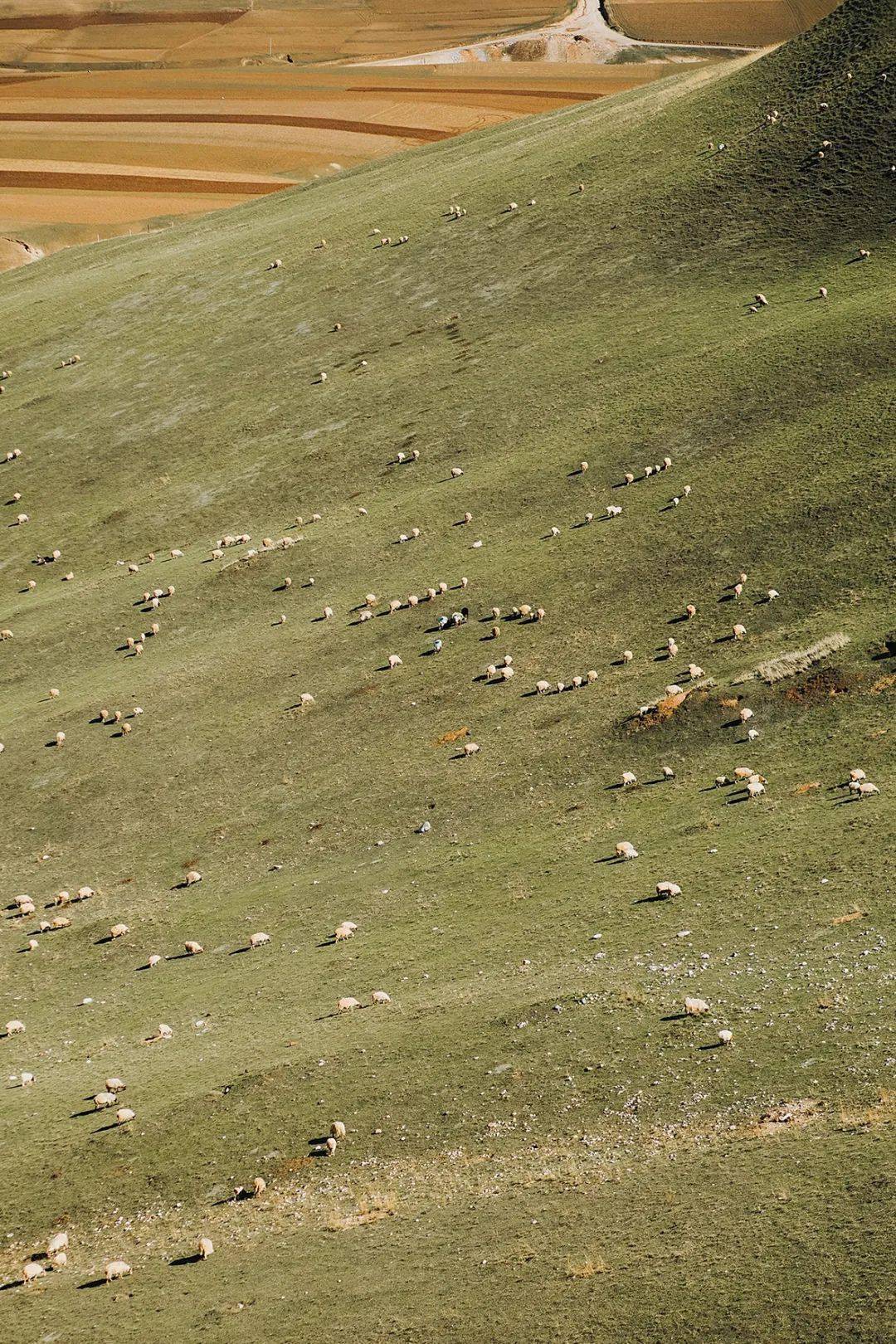 哪一程的旅行滿足了你對「去遠(yuǎn)方」的美好幻想