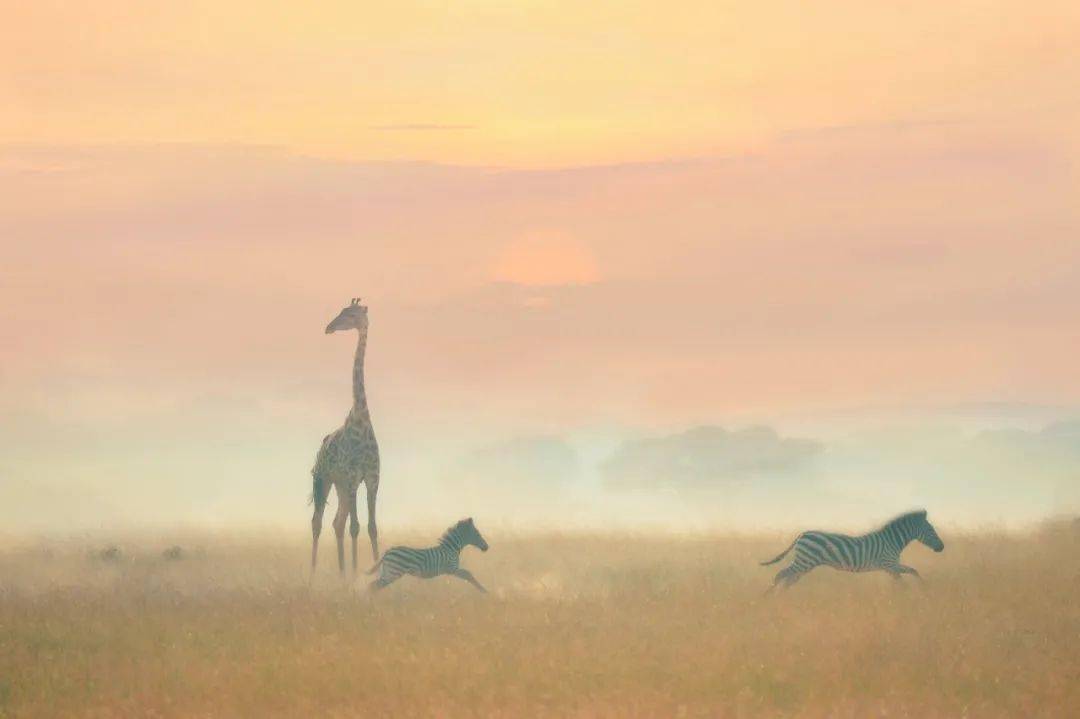 哪一程的旅行滿足了你對「去遠(yuǎn)方」的美好幻想