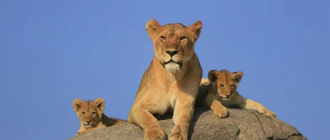 哪一程的旅行滿足了你對「去遠(yuǎn)方」的美好幻想