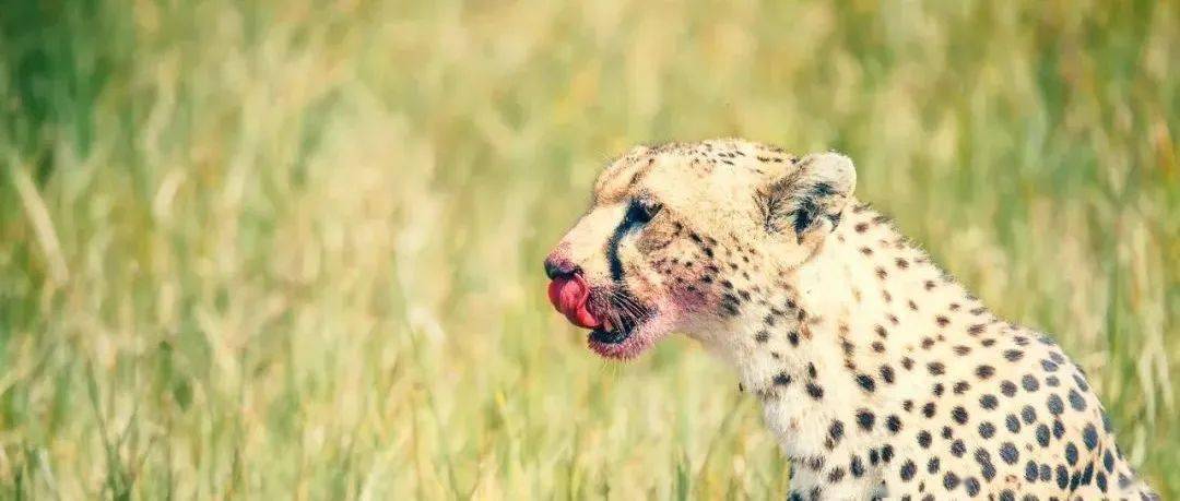 哪一程的旅行滿足了你對「去遠(yuǎn)方」的美好幻想