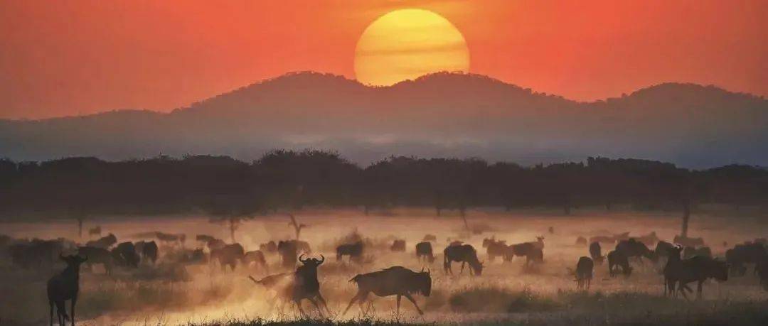 哪一程的旅行滿足了你對「去遠(yuǎn)方」的美好幻想