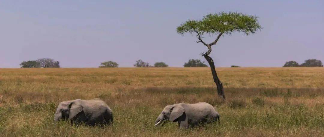 哪一程的旅行滿足了你對「去遠(yuǎn)方」的美好幻想