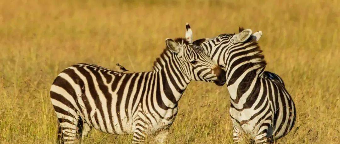 哪一程的旅行滿足了你對「去遠(yuǎn)方」的美好幻想