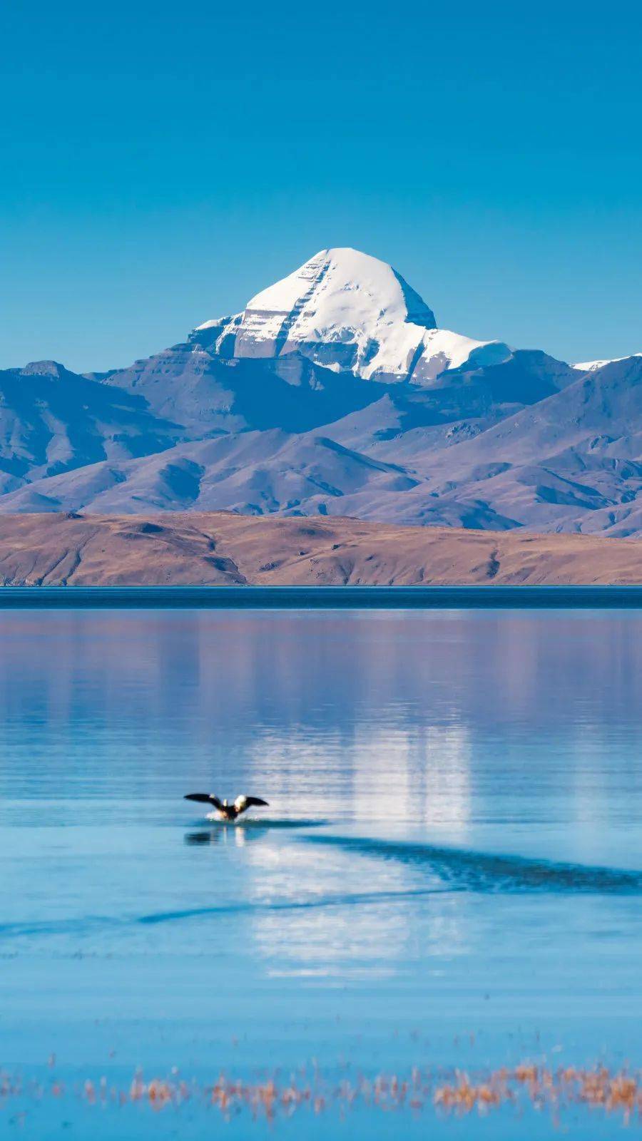 哪一程的旅行滿足了你對「去遠(yuǎn)方」的美好幻想