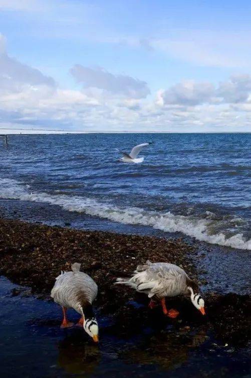 哪一程的旅行滿足了你對「去遠(yuǎn)方」的美好幻想