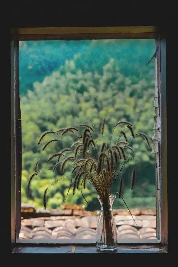 哪一程的旅行滿足了你對「去遠(yuǎn)方」的美好幻想