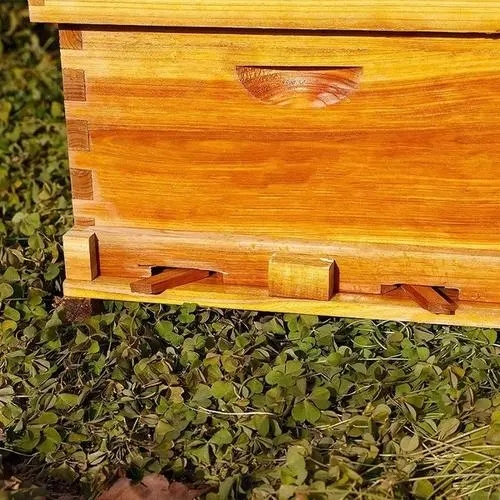 泡桐板能不能做中蜂蜂箱 泡桐板能不能做中蜂蜂箱