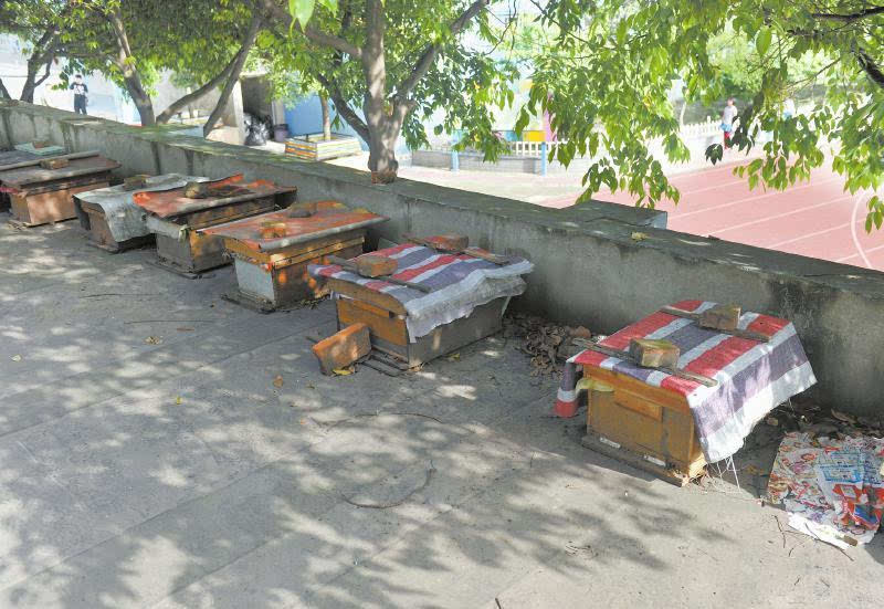 一個(gè)山區(qū)中蜂場(chǎng)最多養(yǎng)多少箱中蜂（想要養(yǎng)殖1000箱蜜蜂，需要注意哪些問(wèn)題）