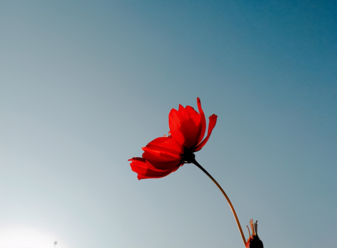 越是無人懂你，越要愛自己（沒有人會(huì)永遠(yuǎn)愛你，除了你自己）