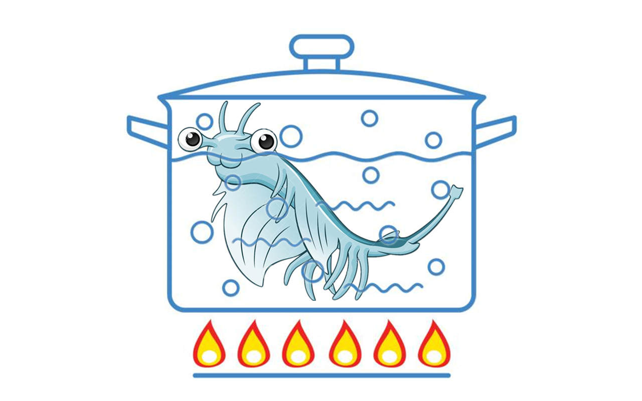 “活化石”仙女蝦為什么能活2億年,真放在開(kāi)水里煮都不死 “活化石”仙女蝦活了2億年,上月球、下鍋煮都不死?