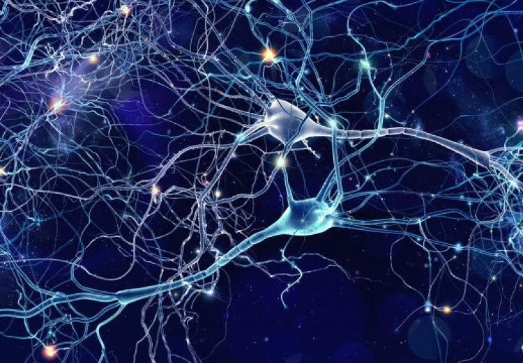 直徑5.2億光年，囊括10萬星系，拉尼亞凱亞超星系團有多可怕？