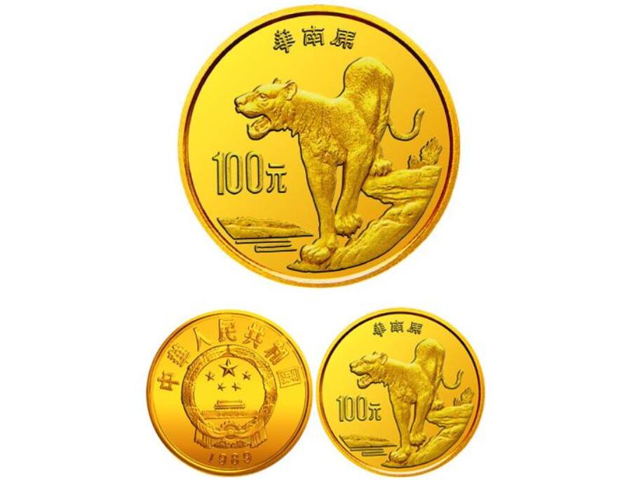 云南發(fā)現(xiàn)極危物種 消失100多年!云南發(fā)現(xiàn)極危物種異葉苣苔,野生華南虎會出現(xiàn)嗎?