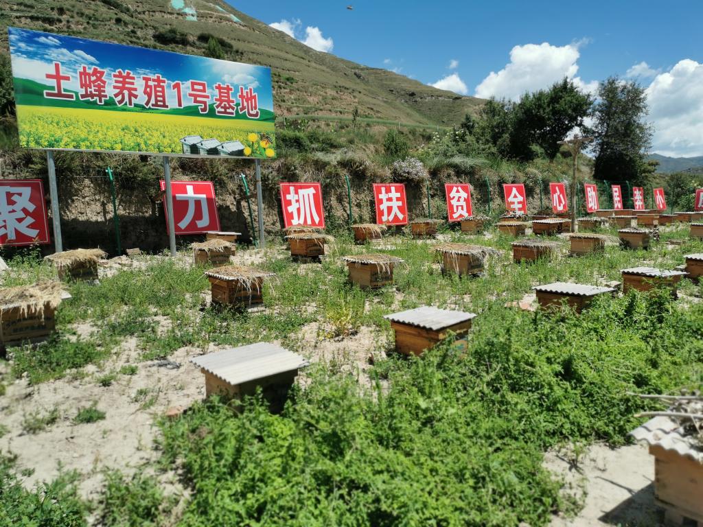 養蜂合作社有哪些補貼(成立養蜂合作社的條件和補貼申請) 養蜂合作社有哪些補貼(成立養蜂合作社的條件和補貼申請)