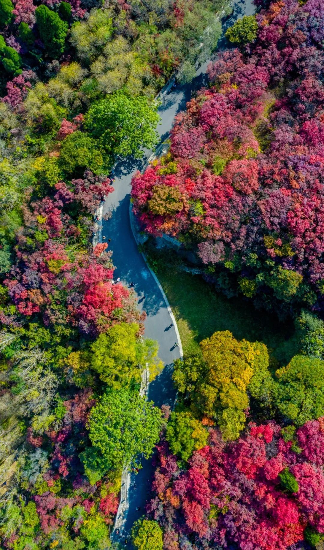 有篝火、有星空！山東私藏的這些自駕露營(yíng)地景美人少，現(xiàn)在就出發(fā)！