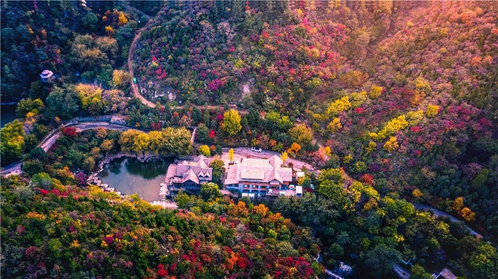 有篝火、有星空！山東私藏的這些自駕露營(yíng)地景美人少，現(xiàn)在就出發(fā)！