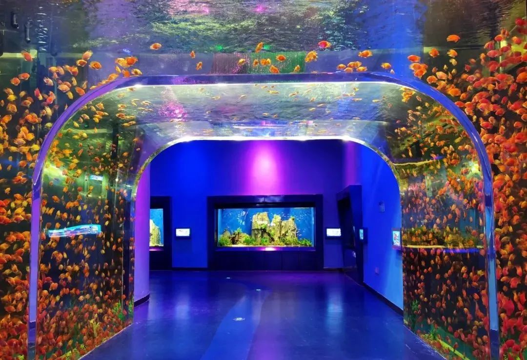 有篝火、有星空！山東私藏的這些自駕露營(yíng)地景美人少，現(xiàn)在就出發(fā)！