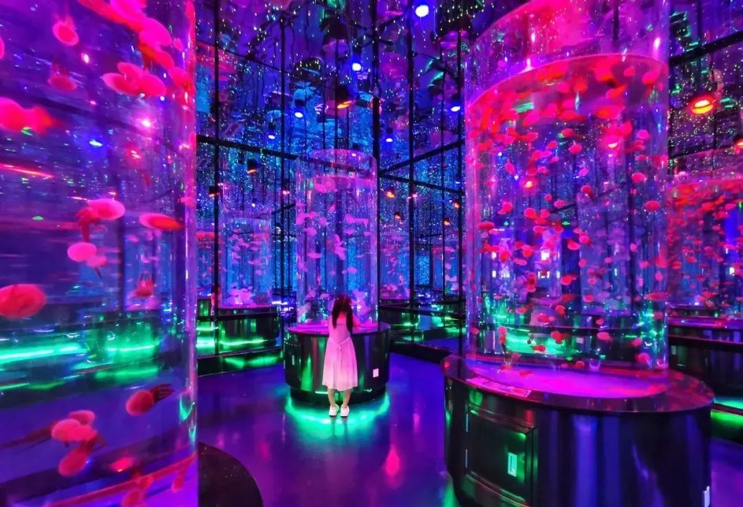 有篝火、有星空！山東私藏的這些自駕露營(yíng)地景美人少，現(xiàn)在就出發(fā)！