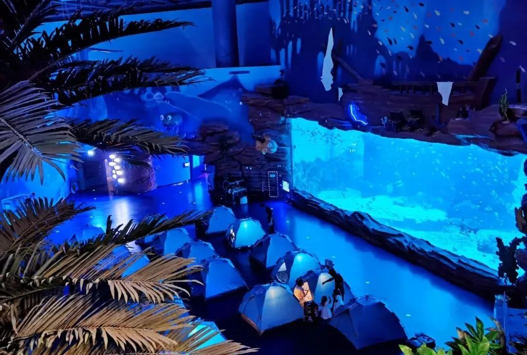 有篝火、有星空！山東私藏的這些自駕露營(yíng)地景美人少，現(xiàn)在就出發(fā)！