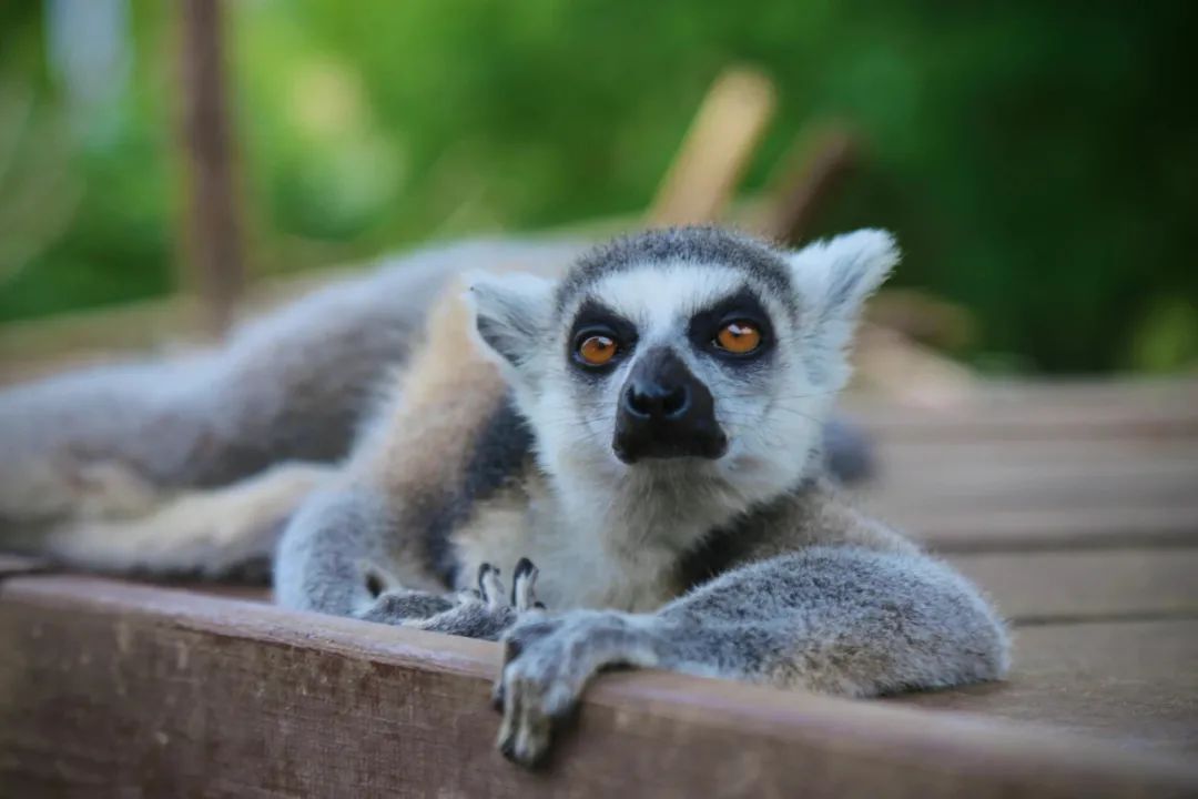 有篝火、有星空！山東私藏的這些自駕露營(yíng)地景美人少，現(xiàn)在就出發(fā)！