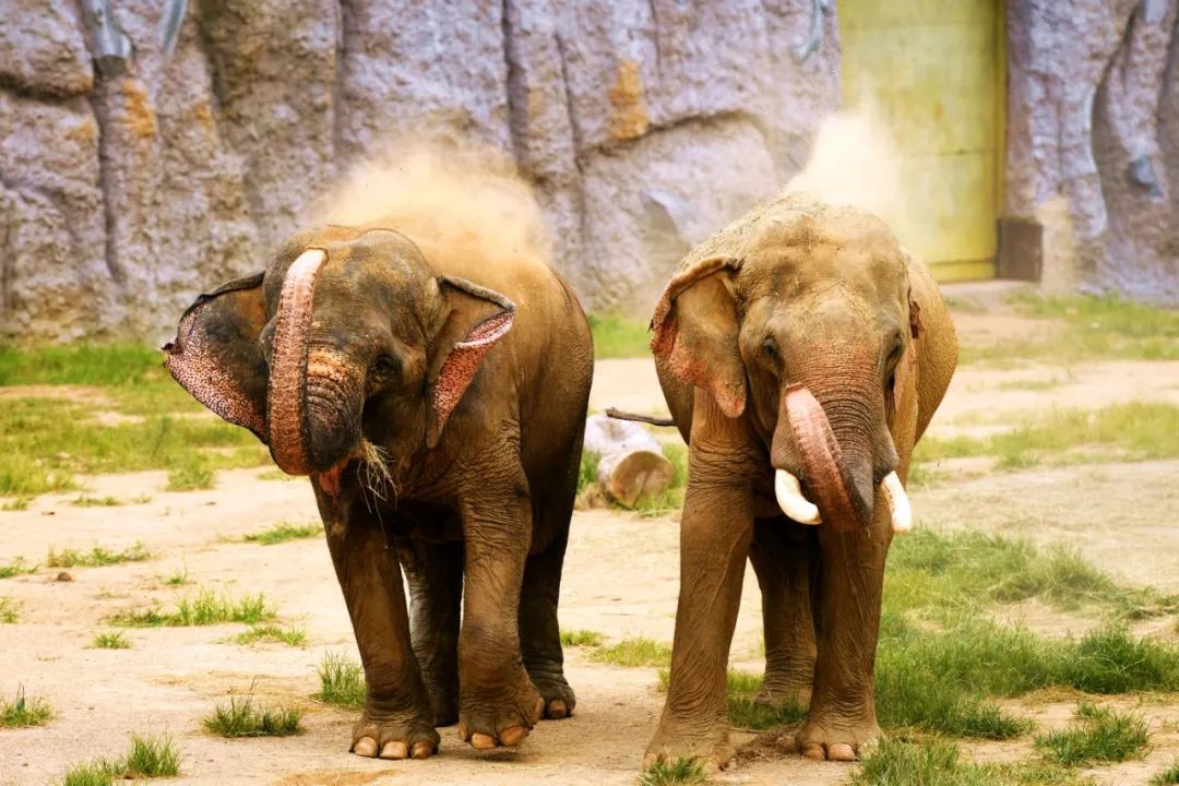 有篝火、有星空！山東私藏的這些自駕露營(yíng)地景美人少，現(xiàn)在就出發(fā)！