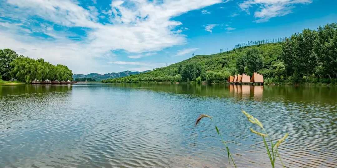 有篝火、有星空！山東私藏的這些自駕露營(yíng)地景美人少，現(xiàn)在就出發(fā)！