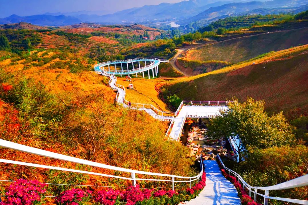 有篝火、有星空！山東私藏的這些自駕露營(yíng)地景美人少，現(xiàn)在就出發(fā)！