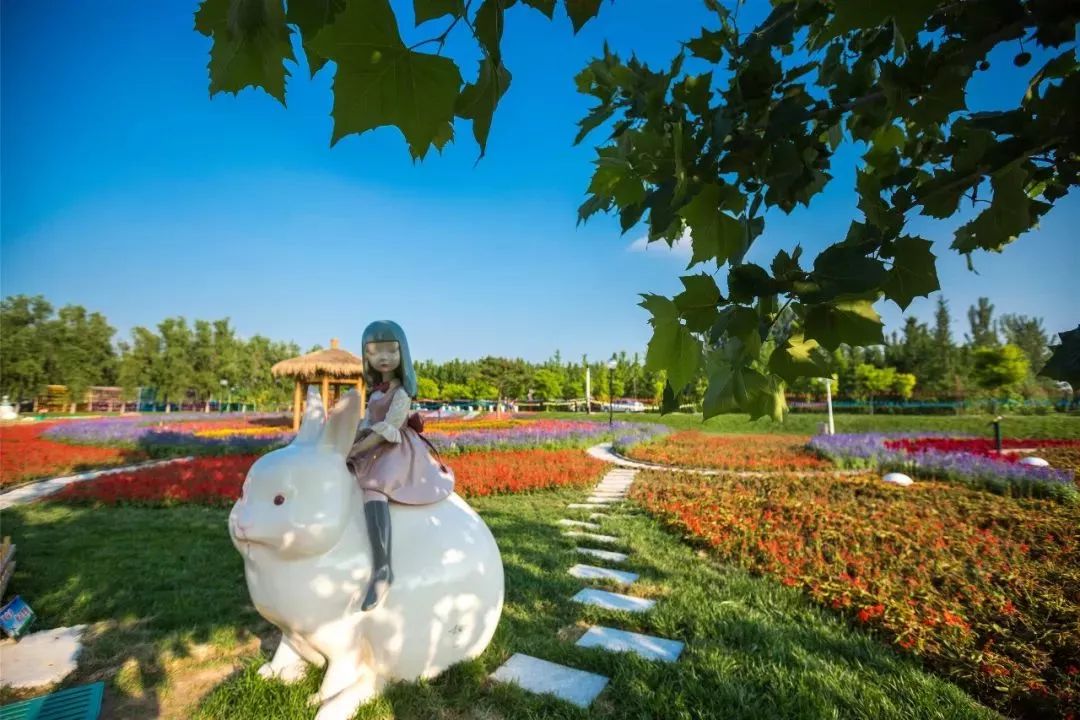 有篝火、有星空！山東私藏的這些自駕露營(yíng)地景美人少，現(xiàn)在就出發(fā)！