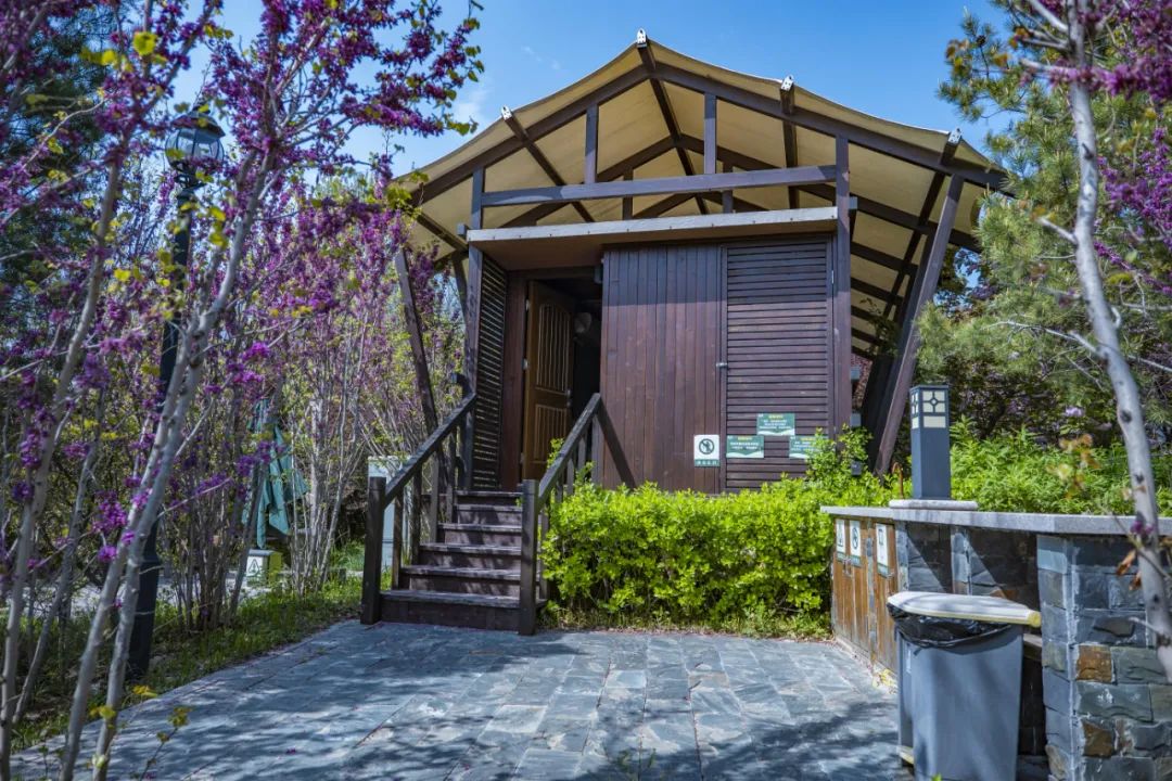 有篝火、有星空！山東私藏的這些自駕露營(yíng)地景美人少，現(xiàn)在就出發(fā)！