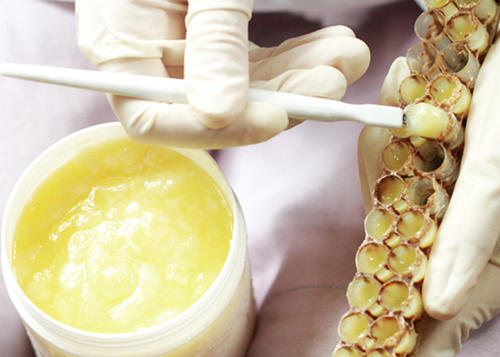 蜂王漿如何保存(蜂王漿的保存方法) 蜂王漿如何保存(蜂王漿的保存方法)