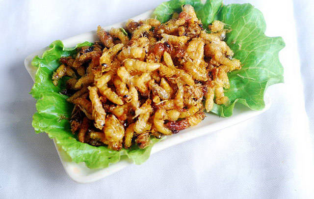 蜂蛹的吃法有哪些(蜜蜂蜂蛹怎么吃) 蜂蛹的吃法有哪些(蜜蜂蜂蛹怎么吃)