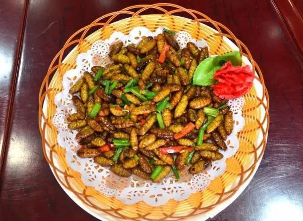 【蜂蛹禁忌】什么人不能吃蜂蛹 什么人不能吃蜂蛹