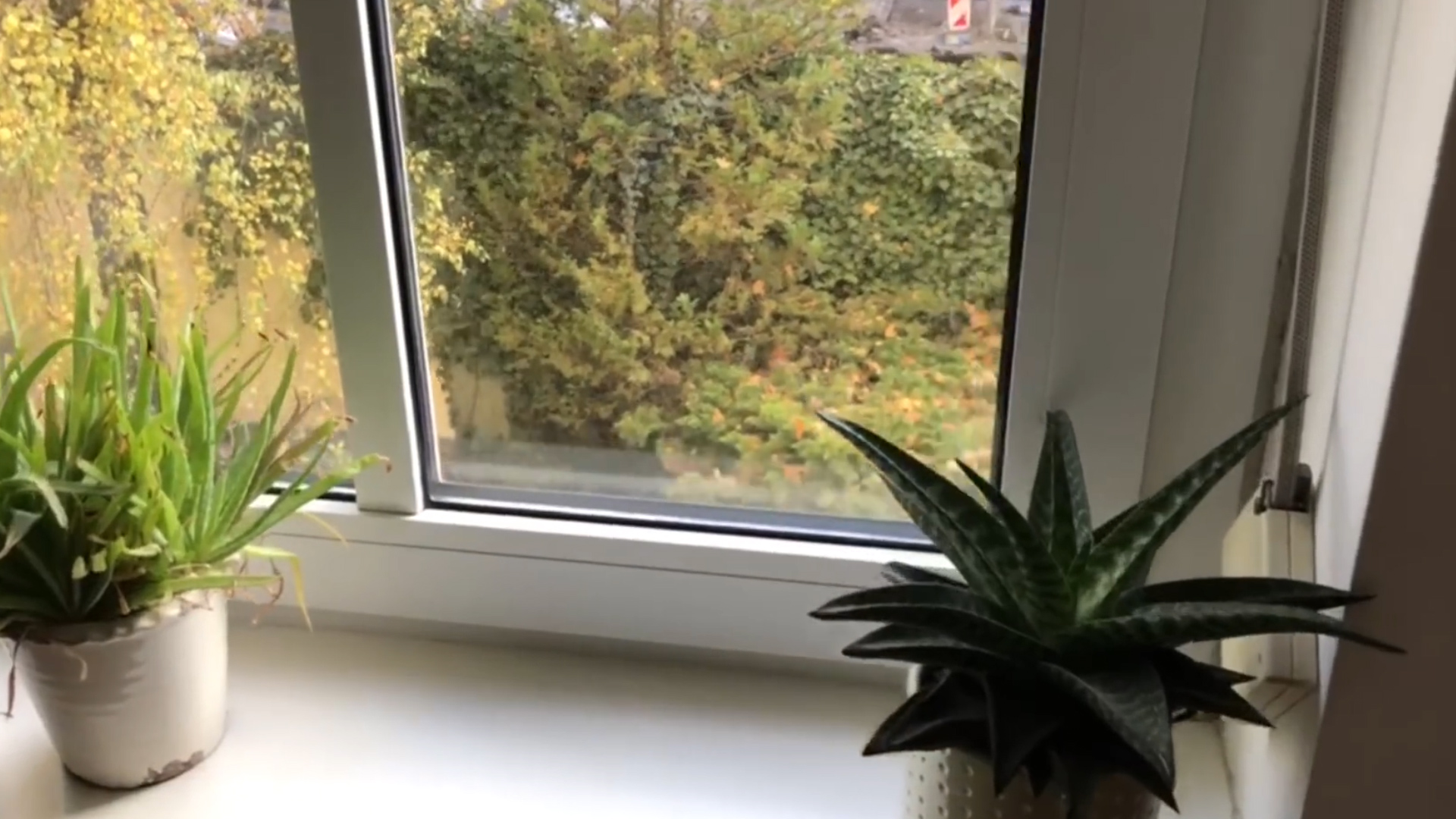 飛機(jī)窗戶上的這個(gè)小洞，你知道是做什么的嗎？