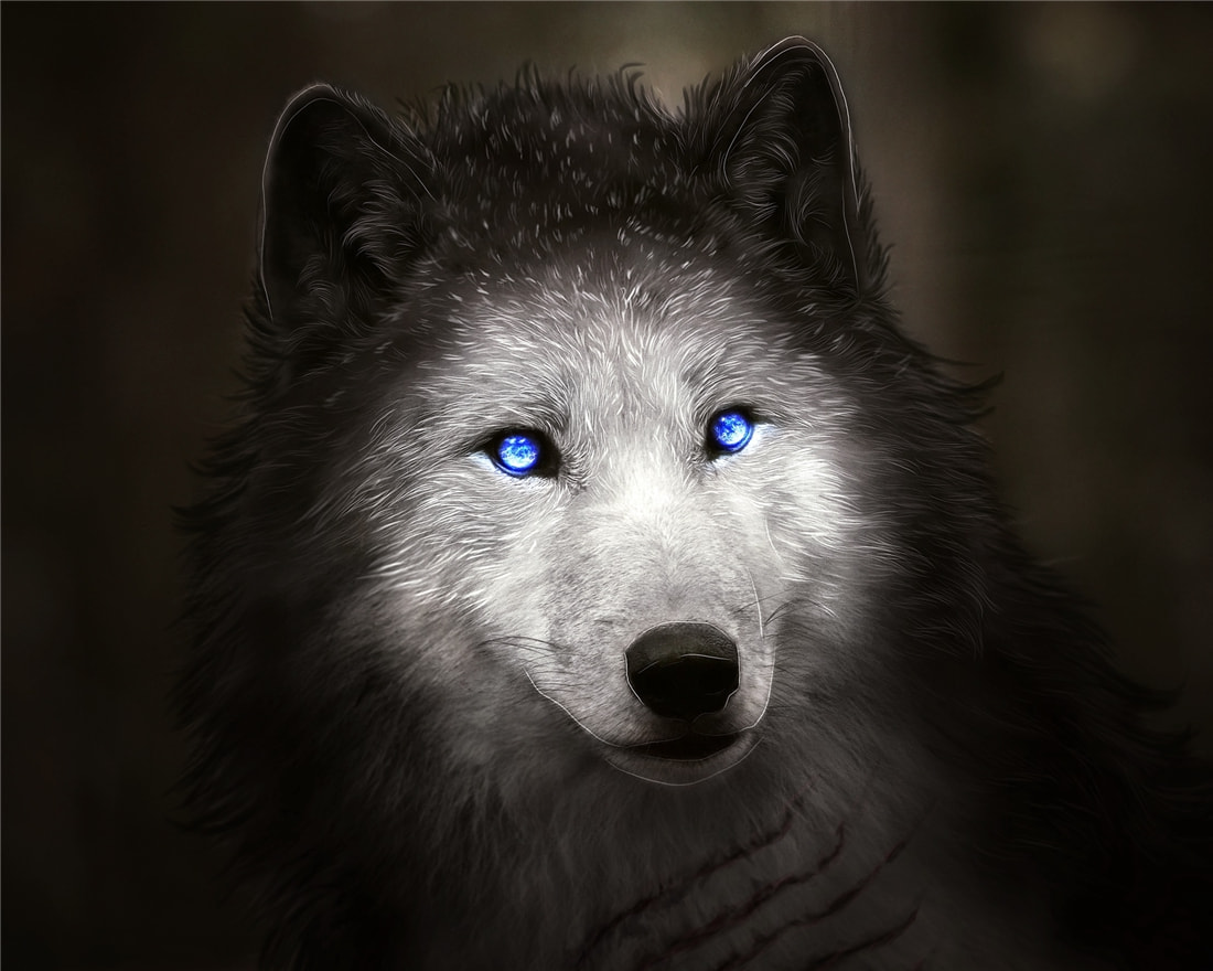 “狽”的原型不是豺,更不是狼獾,為何是狼群中的殘疾狼 長(zhǎng)白山多次出現(xiàn)“狽”,最早記載于西漢,奔跑時(shí)前腿搭在狼身上