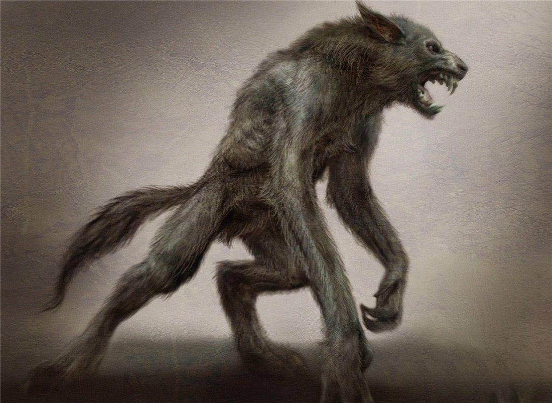 “狽”的原型不是豺,更不是狼獾,為何是狼群中的殘疾狼 長(zhǎng)白山多次出現(xiàn)“狽”,最早記載于西漢,奔跑時(shí)前腿搭在狼身上