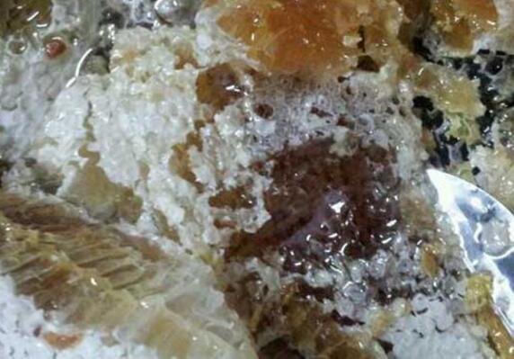 野生蜂蜜什么時候采集(野生蜜蜂什么時候取蜜最好) 野生蜂蜜什么時候采集(野生蜜蜂什么時候取蜜最好)