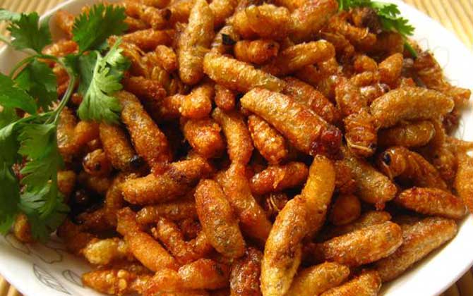 蜂蛹和生蠔可以一起吃嗎(蜂蛹不能和什么一起吃) 蜂蛹和生蠔可以一起吃嗎(蜂蛹不能和什么一起吃)