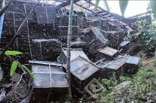 不取蜂蜜對(duì)蜜蜂好不好(中蜂養(yǎng)殖,多久取一次蜂蜜) 不取蜂蜜對(duì)蜜蜂好不好(中蜂養(yǎng)殖,多久取一次蜂蜜)