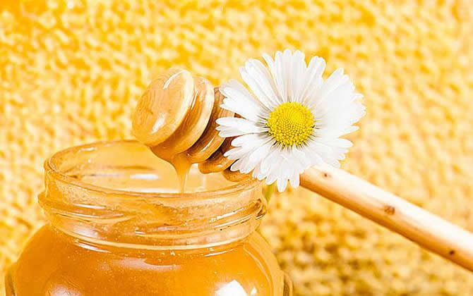用蜂蜜怎樣快速止咳 用蜂蜜怎樣快速止咳
