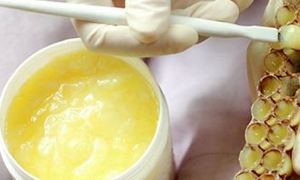 天然正宗蜂皇漿價格多少錢一斤(蜂皇漿的市場價是多少) 天然正宗蜂皇漿價格多少錢一斤(蜂皇漿的市場價是多少)