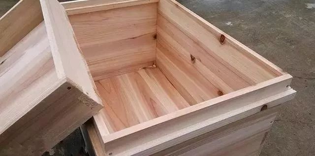 一個月蜜蜂可以繁殖多少只出來(一脾蜂一個月能繁殖多少) 一個月蜜蜂可以繁殖多少只出來(一脾蜂一個月能繁殖多少)