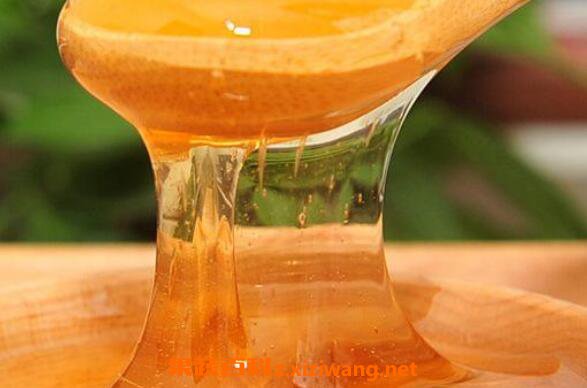 黨參蜜是什么蜜(黨參蜂蜜的作用及價(jià)格) 黨參蜜是什么蜜(黨參蜂蜜的作用及價(jià)格)