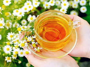 黨參蜜是什么蜜(黨參蜂蜜的作用及價(jià)格) 黨參蜜是什么蜜(黨參蜂蜜的作用及價(jià)格)