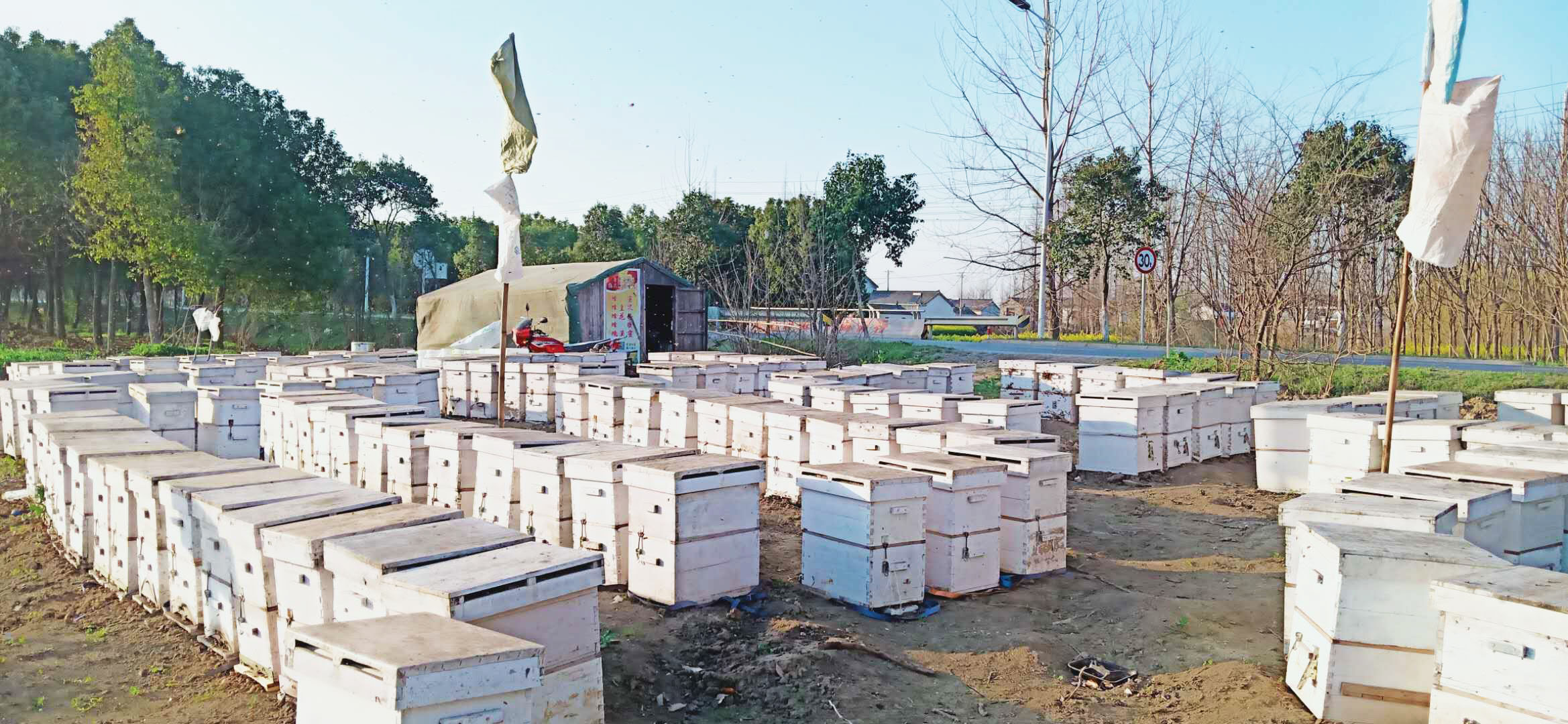 養蜜蜂的蜂箱多少錢一個(蜜蜂蜂箱價格及選購要求) 養蜜蜂的蜂箱多少錢一個(蜜蜂蜂箱價格及選購要求)