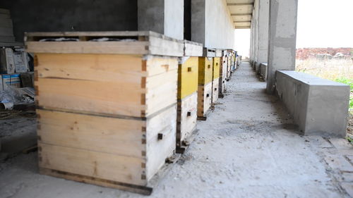 新手養(yǎng)蜜蜂死了是怎么回事(剛來的野蜂,不久全部死亡,什么原因) 新手養(yǎng)蜜蜂死了是怎么回事(剛來的野蜂,不久全部死亡,什么原因)