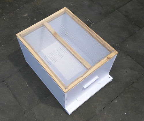 新手養(yǎng)蜜蜂死了是怎么回事(剛來的野蜂,不久全部死亡,什么原因) 新手養(yǎng)蜜蜂死了是怎么回事(剛來的野蜂,不久全部死亡,什么原因)