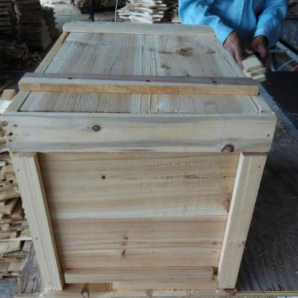 誘蜂桶制作方法和圖片(誘蜂桶該如何制作) 誘蜂桶制作方法和圖片(誘蜂桶該如何制作)