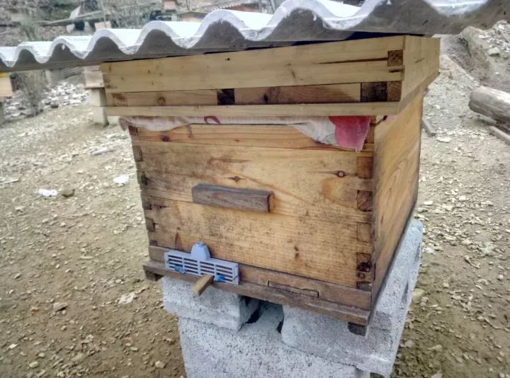 中蜂格子箱規(guī)格及尺寸(格子蜂箱的標(biāo)準(zhǔn)尺寸與優(yōu)缺點(diǎn)) 中蜂格子箱規(guī)格及尺寸(格子蜂箱的標(biāo)準(zhǔn)尺寸與優(yōu)缺點(diǎn))