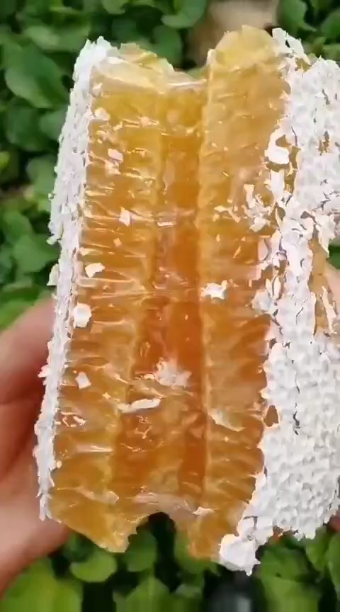 野生的蜂蜜是什么顏色的(食用野生蜂蜜有什么好處) 野生的蜂蜜是什么顏色的(食用野生蜂蜜有什么好處)