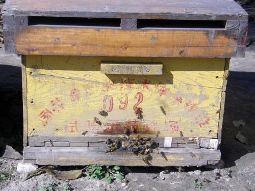 蜜蜂箱哪里有賣(扒一扒蜂箱的購買渠道及優劣鑒別方法) 蜜蜂箱哪里有賣(扒一扒蜂箱的購買渠道及優劣鑒別方法)