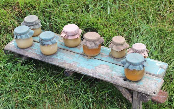 蜂蜜有什么功效與用途(蜂蜜的功效與作用) 蜂蜜有什么功效與用途(蜂蜜的功效與作用)